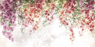 梦幻垂落繁花美景