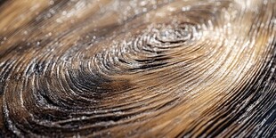 发丝纹理特写 尽显柔顺光泽