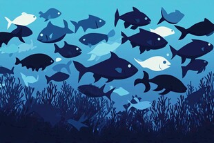 群鱼畅游的海底梦幻景象