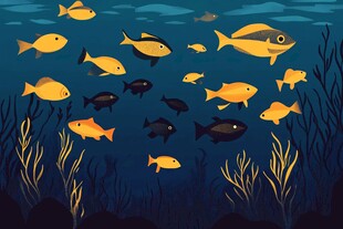 海底鱼群畅游图