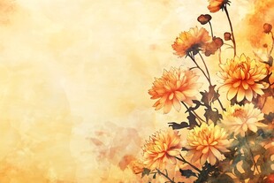 秋日菊花绽放美景