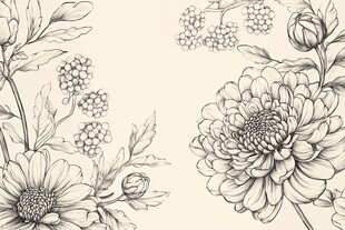 手绘花卉植物装饰图案