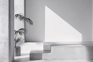 简约室内空间的光影与绿植