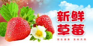 草莓