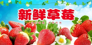 草莓