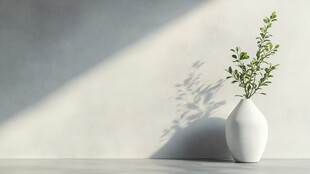 简约白瓶绿植光影静物