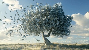 金钱树飘落钞票奇幻景象