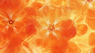 橙色梦幻花朵纹理背景