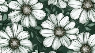 白色花卉图案 清新雅致