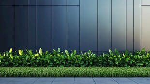 现代墙前的翠绿植物景观