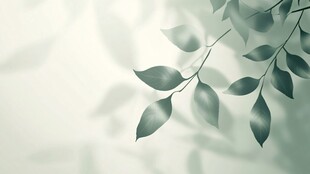 清新绿叶光影背景图