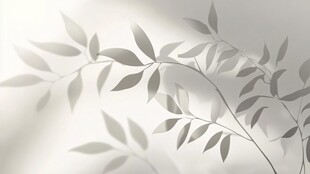 叶影婆娑 营造静谧氛围