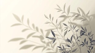 中式水墨风竹叶光影画面