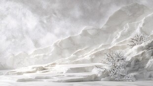 冰雪覆盖的山脉与孤树景观