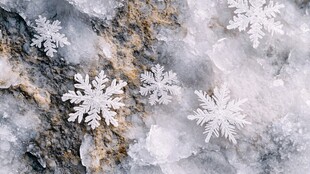 岩石上的精致雪花美景