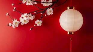 红梅灯笼映红墙