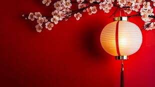 红灯笼伴繁花喜庆画面