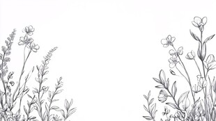 手绘花草边框插画