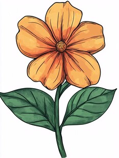 橙色花朵插画