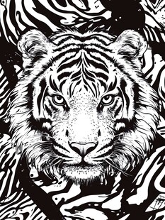 黑白虎纹艺术插画