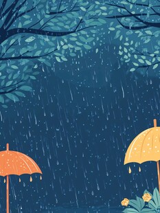 雨中双伞下的静谧景致