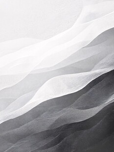 黑白沙丘抽象艺术图景
