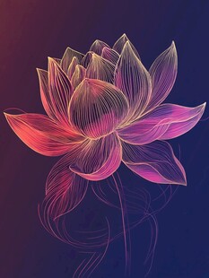 梦幻渐变线条莲花插画