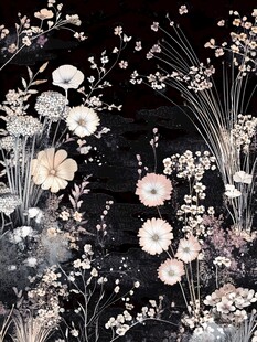黑色背景下的梦幻花卉图案