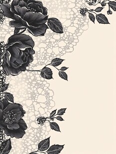 黑白玫瑰蕾丝花边背景图