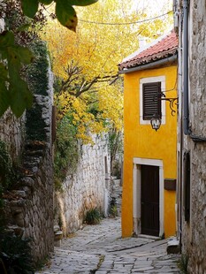 秋日小巷中的明艳黄屋