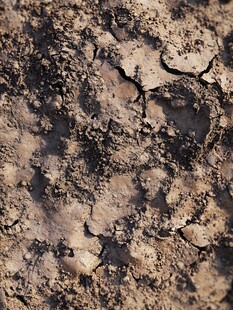 干裂的褐色土壤纹理
