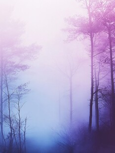 梦幻迷雾森林美景