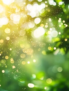 夏日阳光洒落绿意光斑