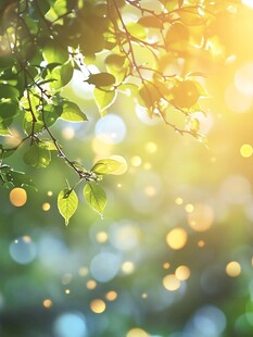 阳光透过绿叶的梦幻景致