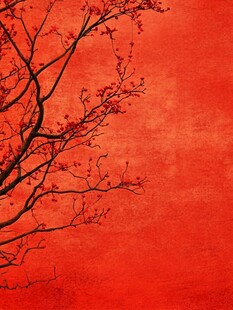 红墙红梅 一抹中式诗意