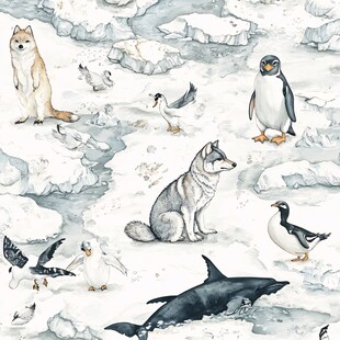 极地动物群像插画