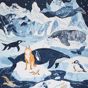 极地动物齐聚冰雪世界