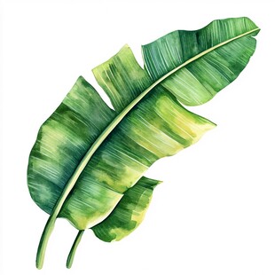 水彩绘香蕉叶清新图案