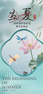 节气海报
