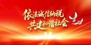 依法纳税