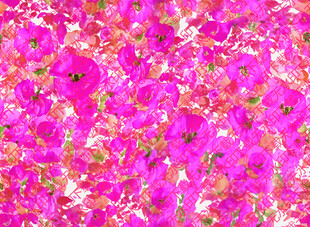 手绘花