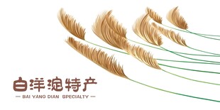 白洋淀特产