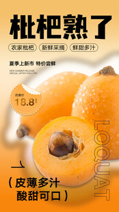 枇杷水果海报设计