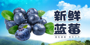 蓝莓