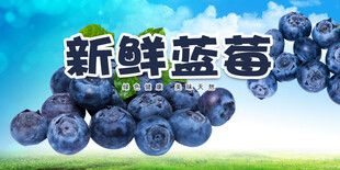 蓝莓