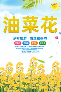 油菜花