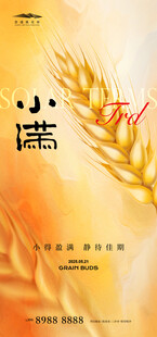 小满