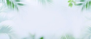 清新绿叶背景图