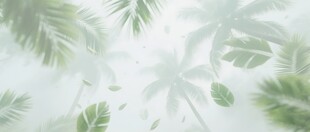 清新绿叶背景纹理图案