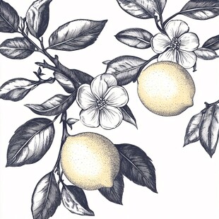 手绘柠檬花枝图案